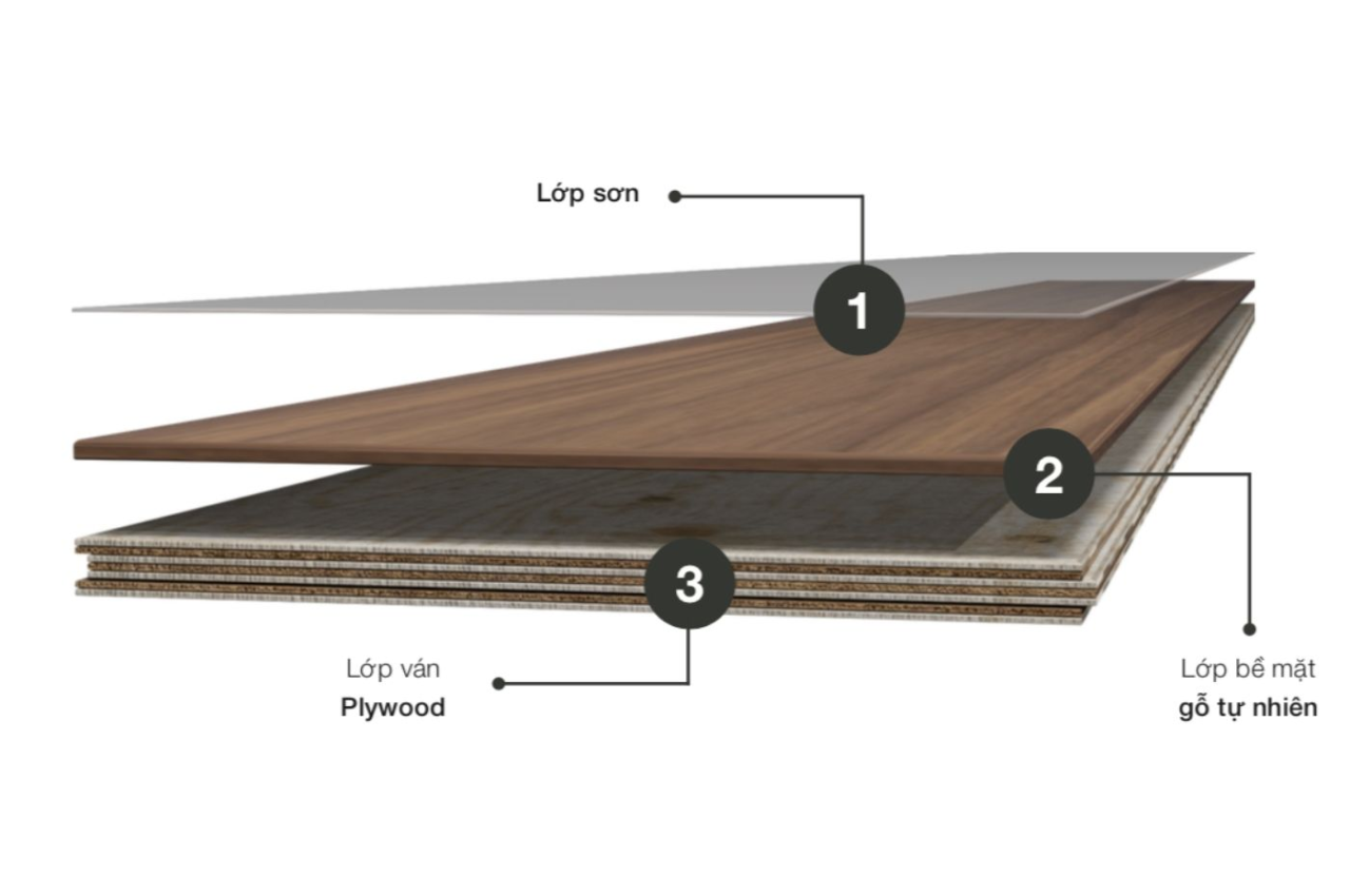 Cấu tạo chi tiết của sàn gỗ engineer